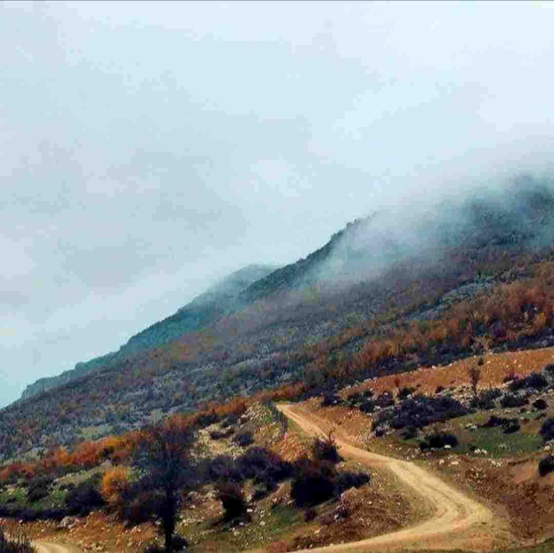برو راحت دیگه واست از همین الان غریبم