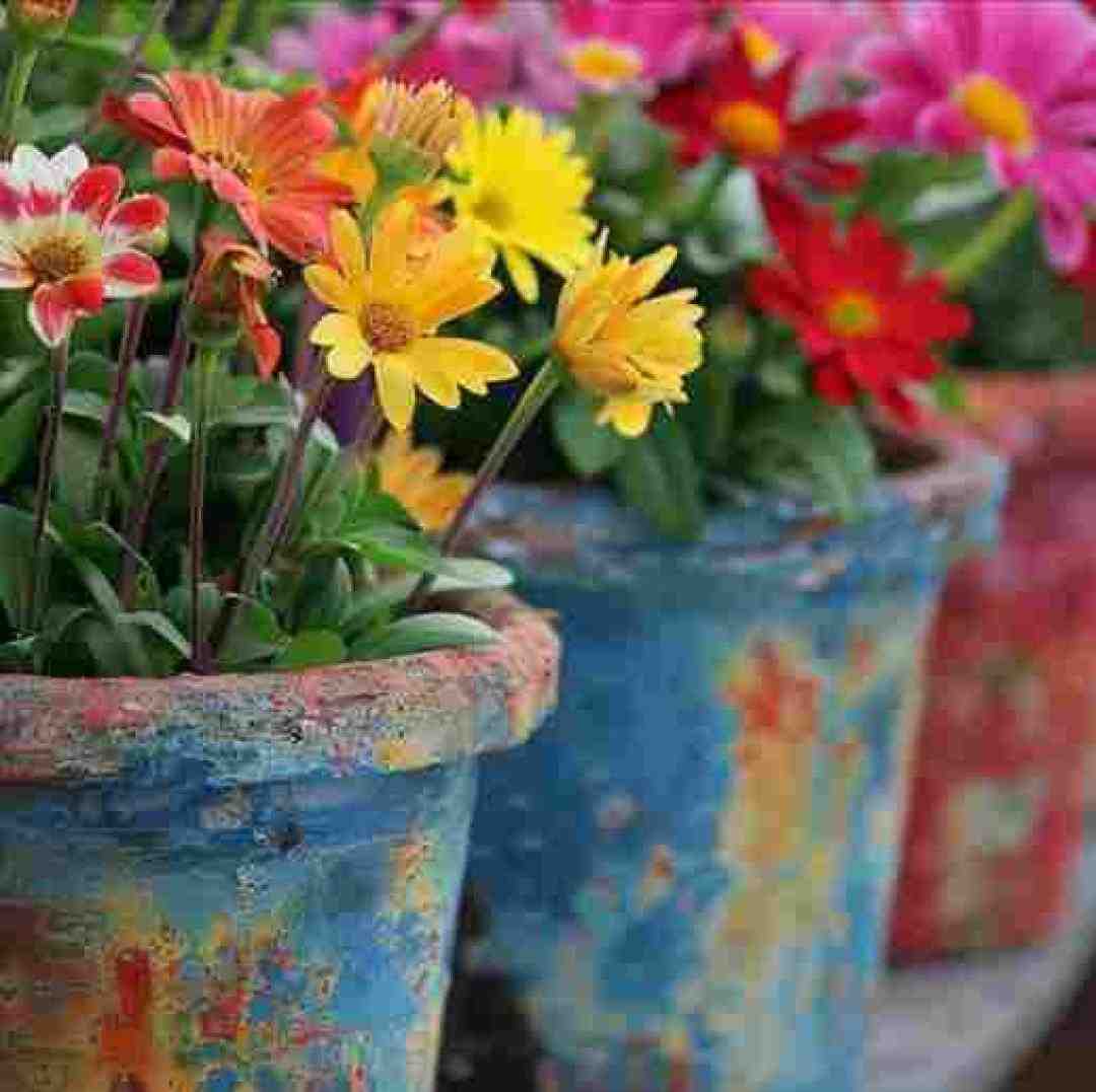 شده دلتنگ شوی چاره نیابی جز
