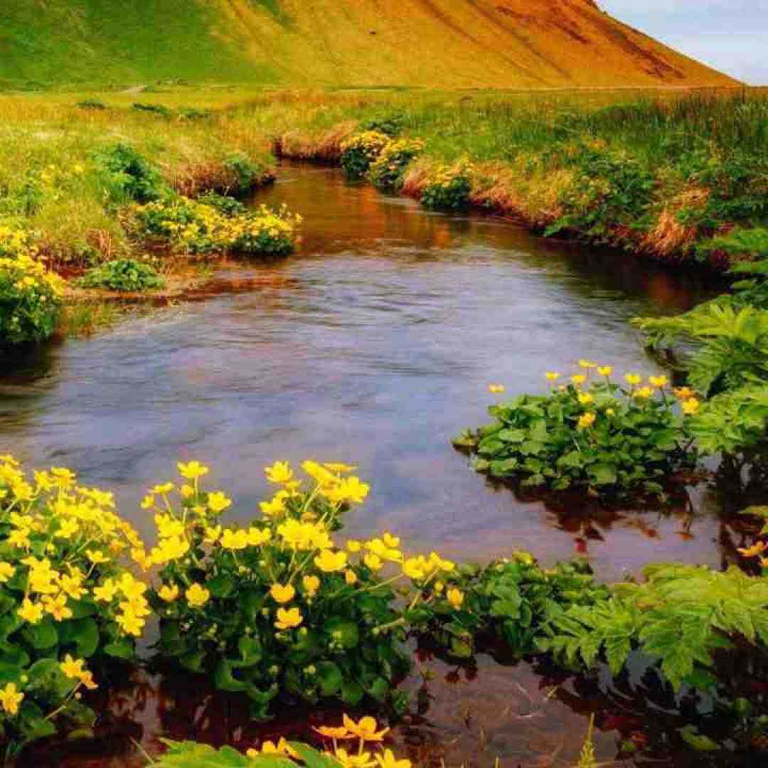  کشتی مرا چه بیم دریاست