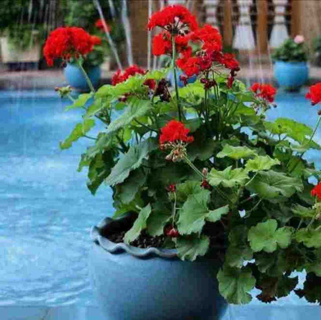 شبای پاییزی دلتنگی و بارون