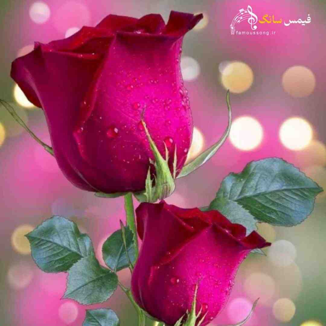 من عاشق چشماتم هرجا پیشت نبودم