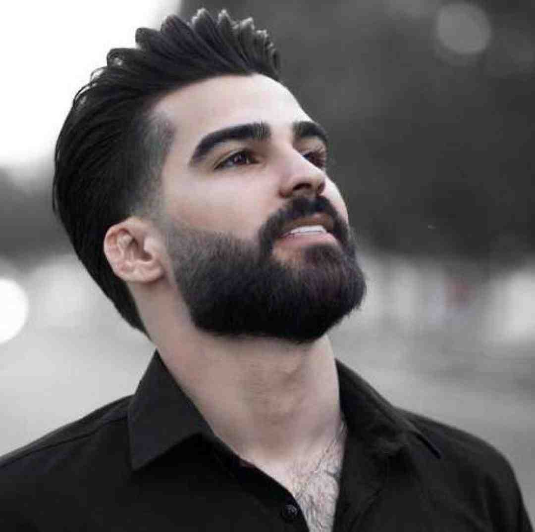 حمیدرضا بابایی پر پر بی گل باغ رنگین