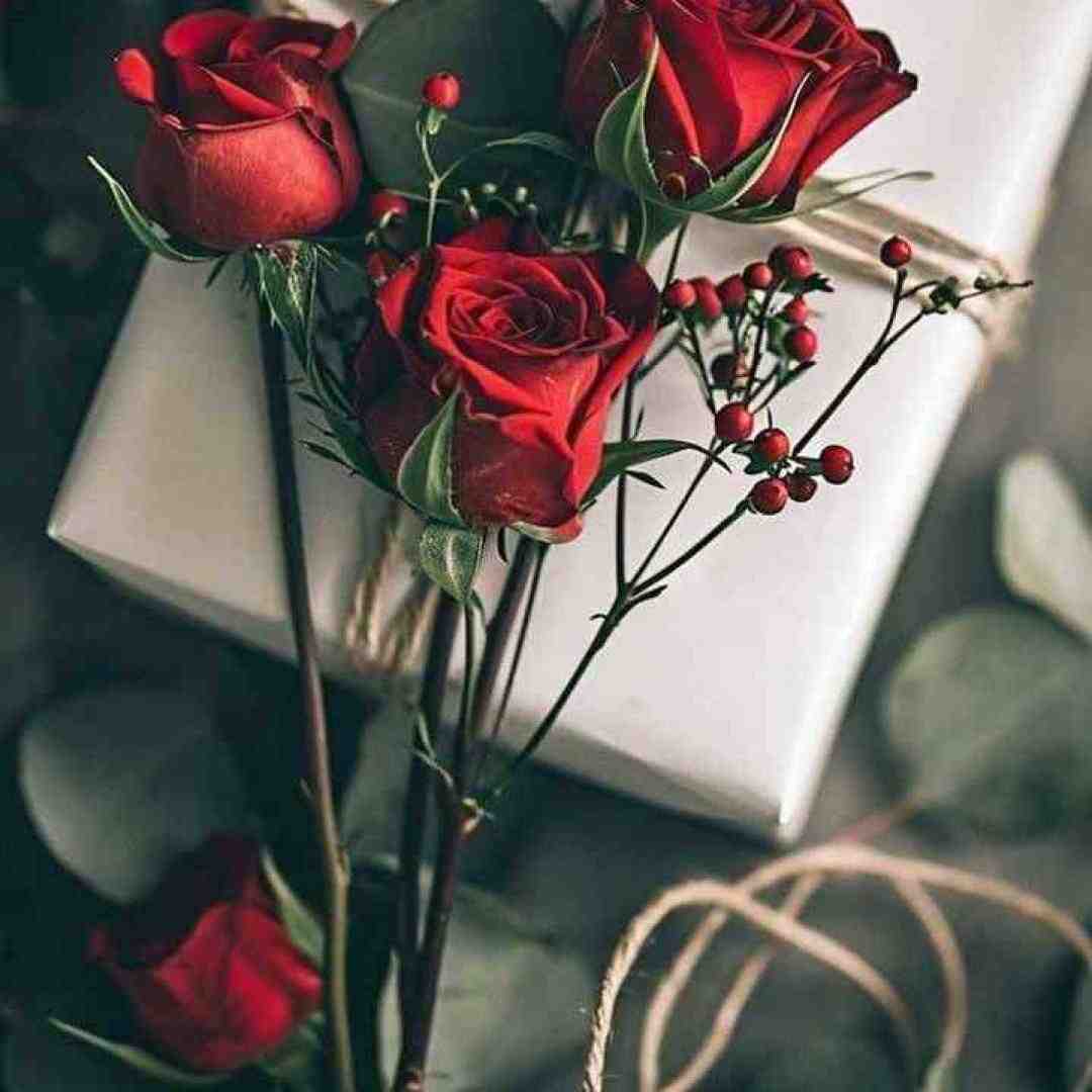  خبر از اخلاق خوب نیست نگرد
