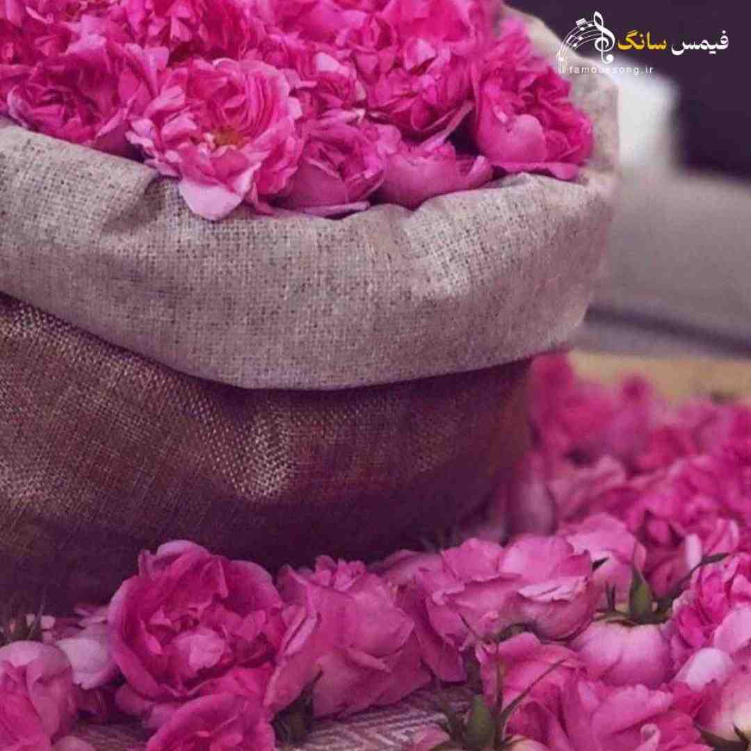  دوتا دستام رو دنده هاتن من دنده خور