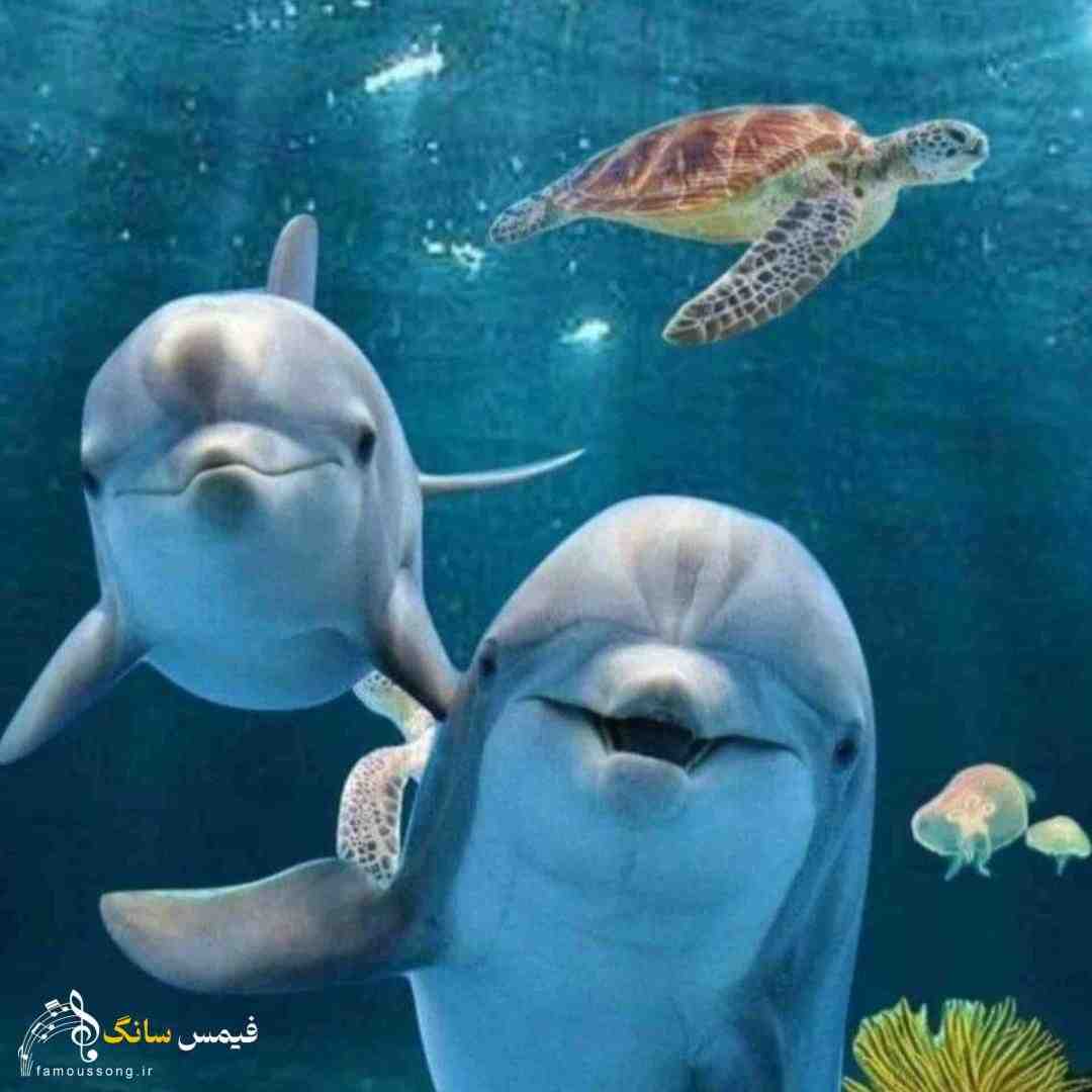 عزیزم غصه نخور زندگی با ماست