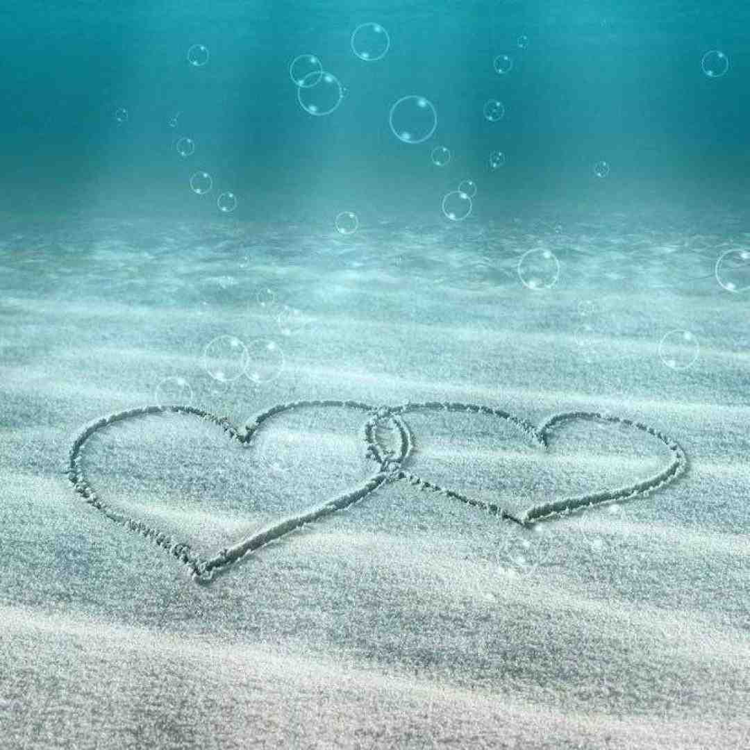 وقتشه اسممون کنار هم ثبت بشه