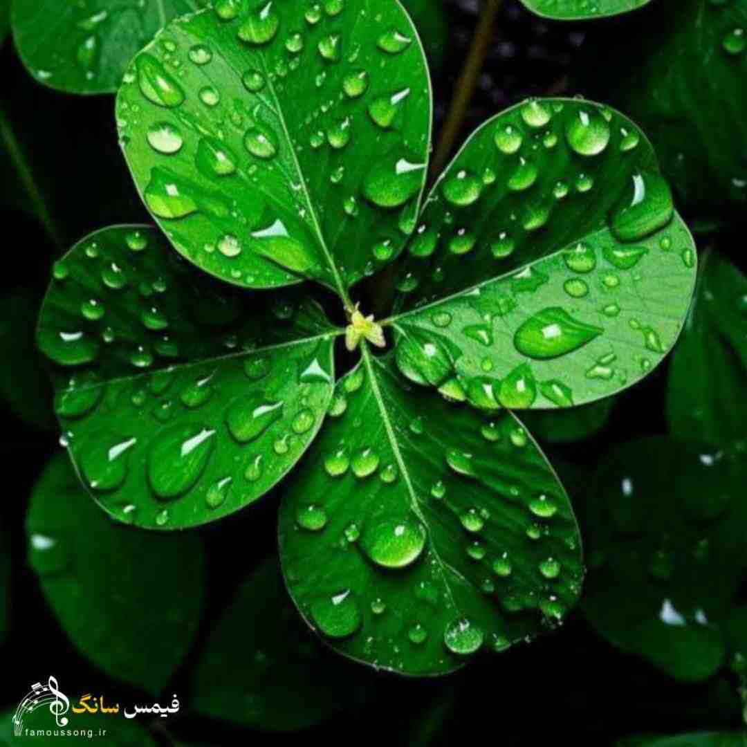 آرزو داشتم هم پیکم تو باشی هر لحظه