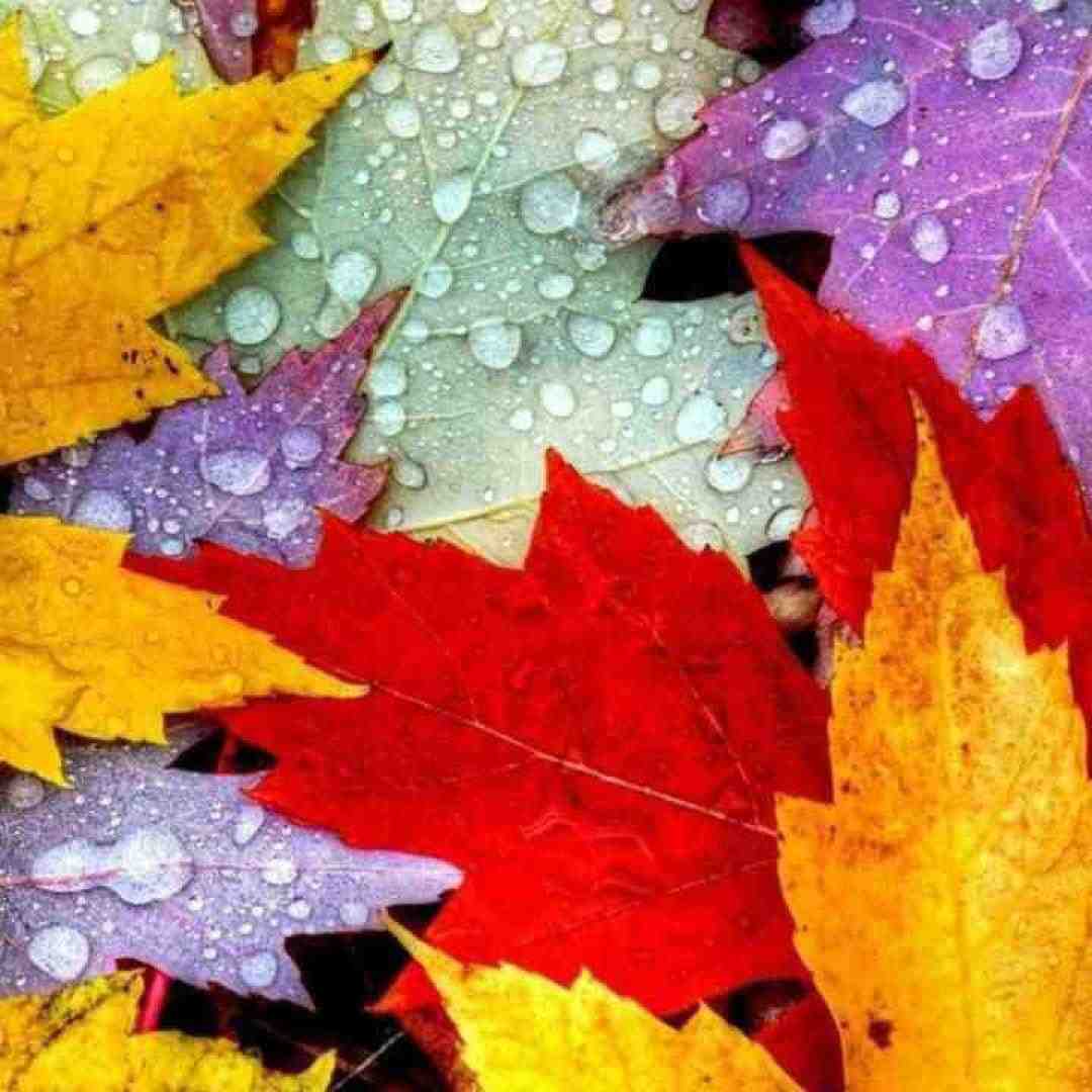  باز منو یکی دید جیغش در اومد