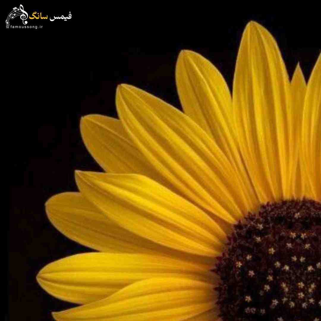  یه روز میای سراغم که خیلی وقته