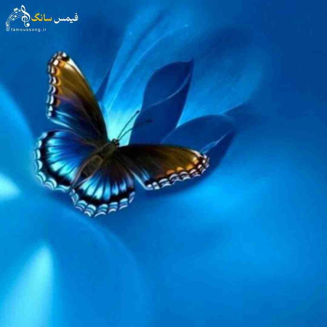  رفتم دم در کلاب آشنا در اومده از آب