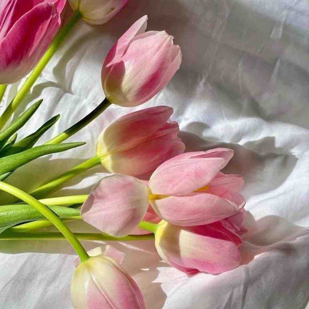  رسیدم ترکیه بابا هارمانیم دافه