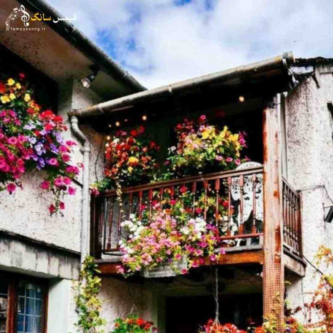 فاز راننده میشم یهو بیب بیب بیب