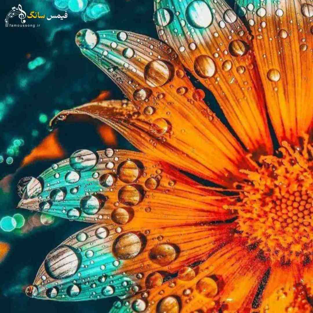 بودی از راه دور برام موندی پای موندنام