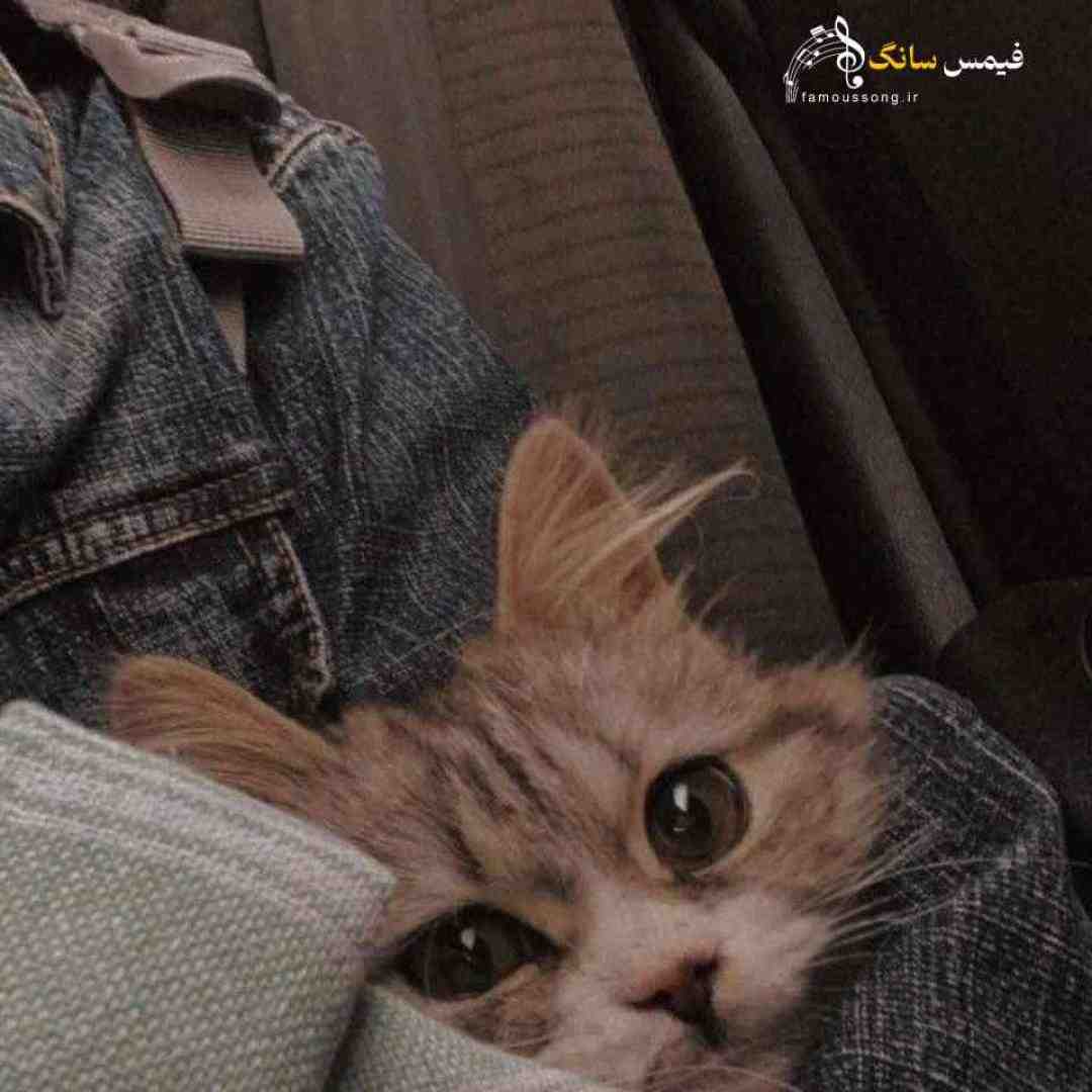  داداش کوچیکه حواستو جمع کن از هدفات