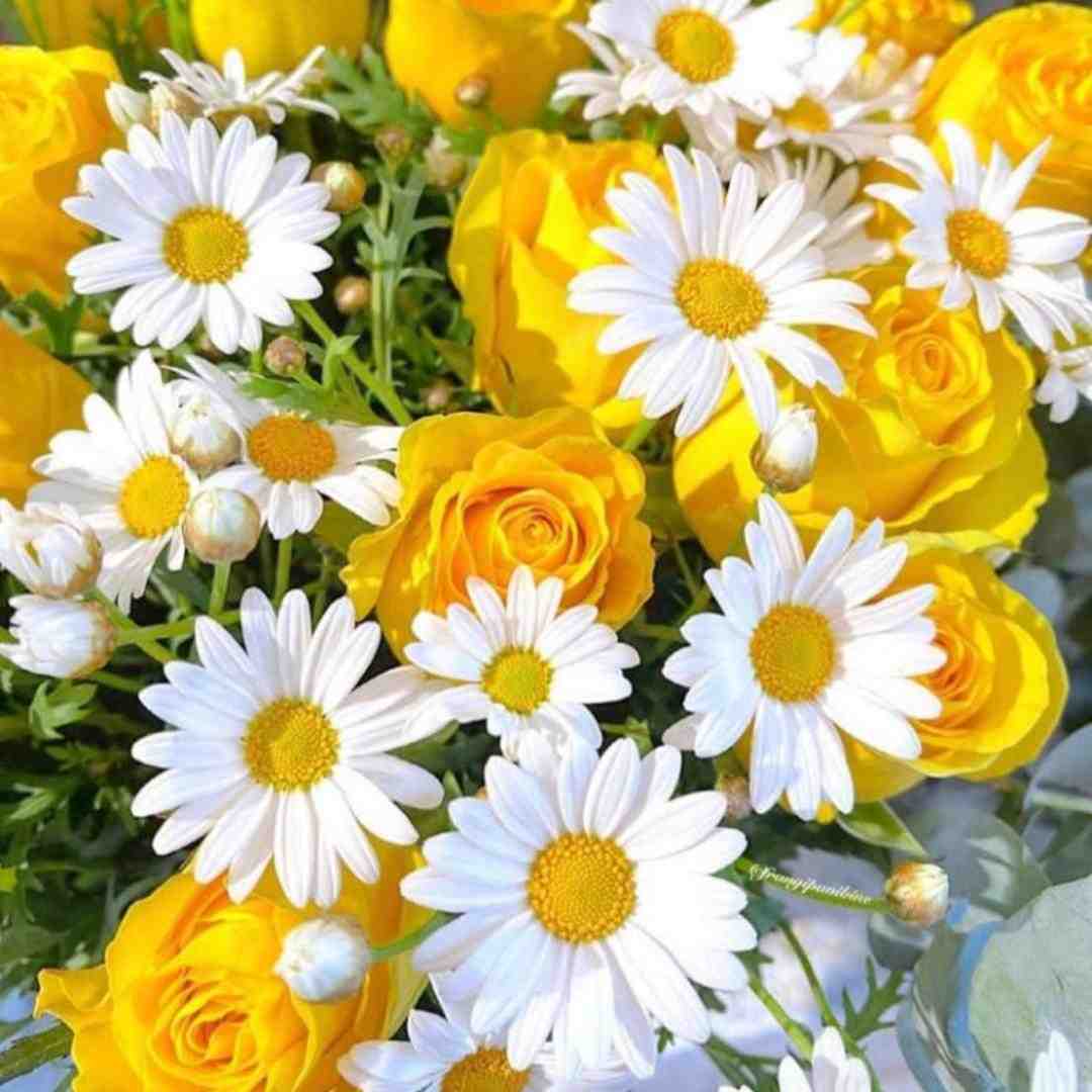 ار نبینمش خرابم نبینه منه خرابه با صدای زن