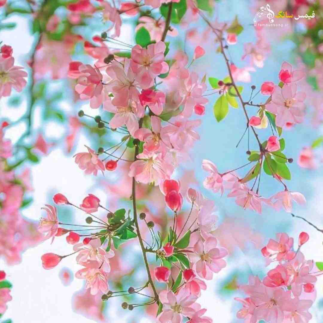 یادمه باهات کلی شب صبح شدن