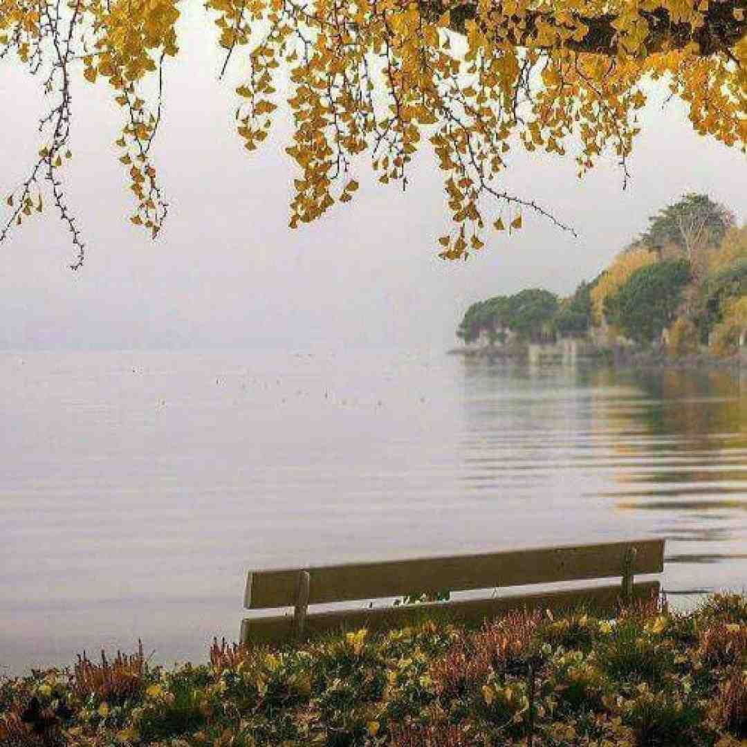  دیدم تکساتو ولی نبودم آدم قدیم