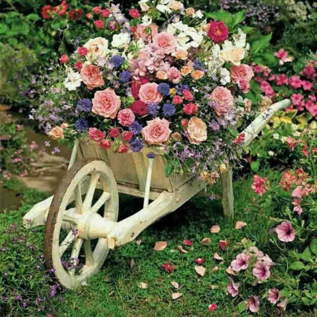 آهای قرنیه مشکی گرد چویلد ای دل کشتید