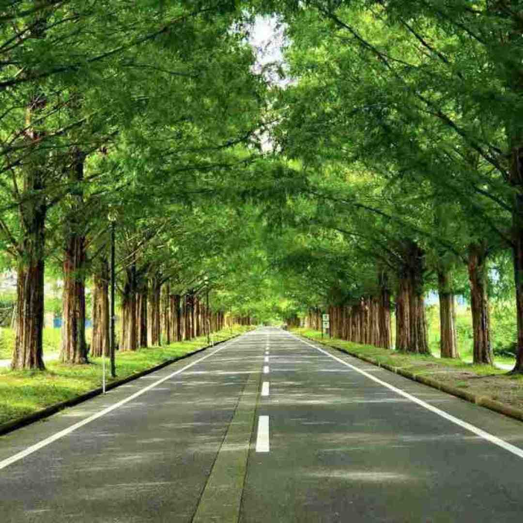  جمع شده کشور دورم خیلیا پیشم خواستن اسم