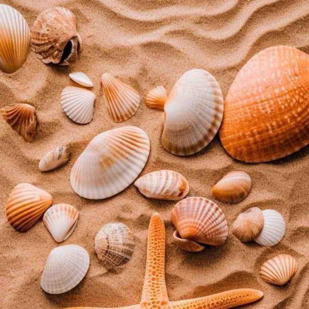 دلتنگی شبام تویی نفس تویی هوام تویی