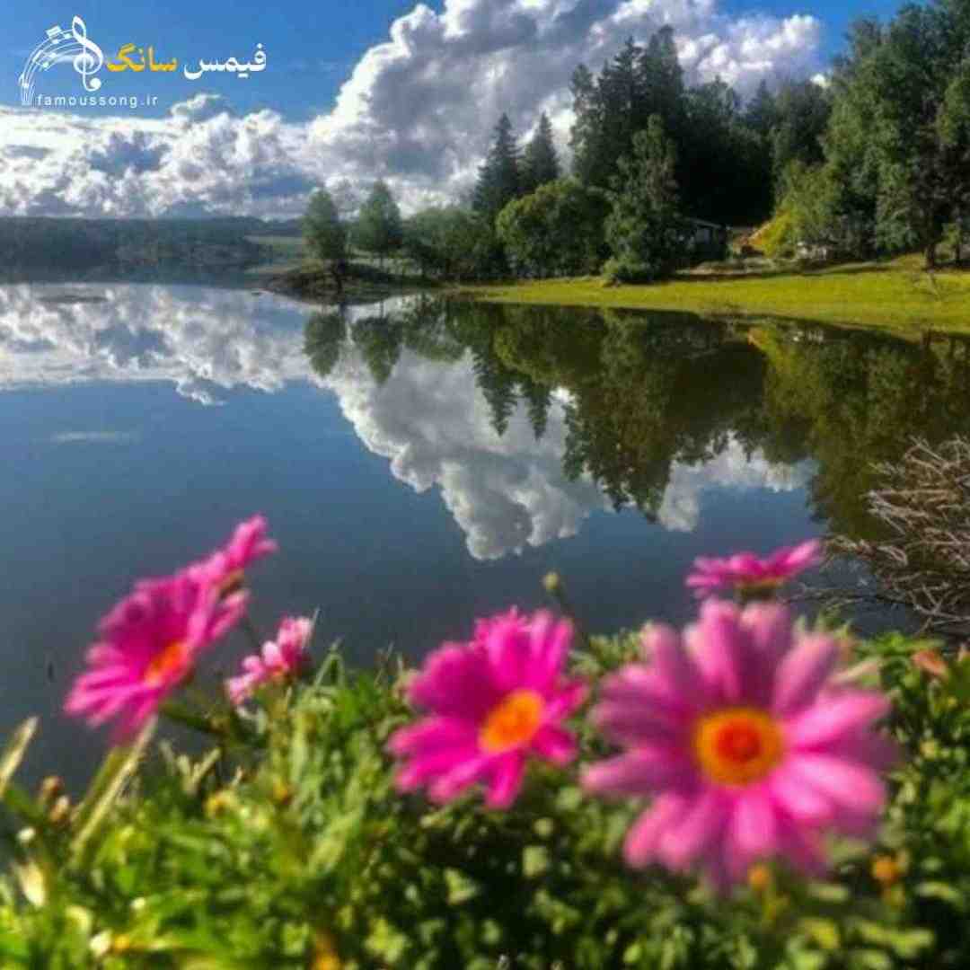  اومدم تو حرم چشمای نازت نذرمو ادا کنم