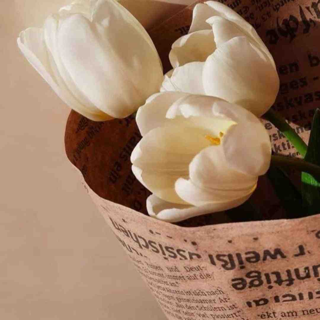  تو روز مرگ زندگی تو صحرای خشک تن بیابون