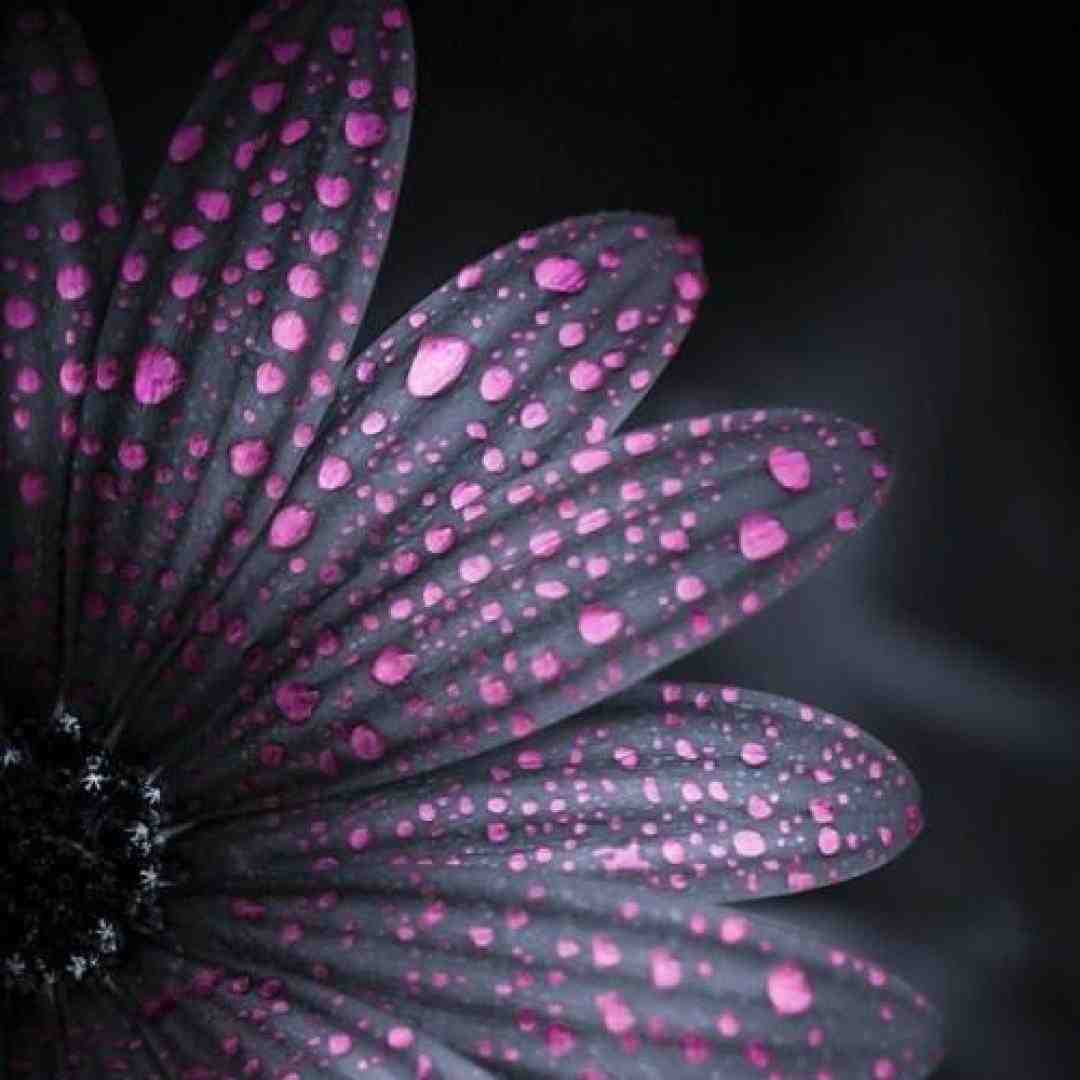 دم دنیا گرم که تا حالاش حال داده