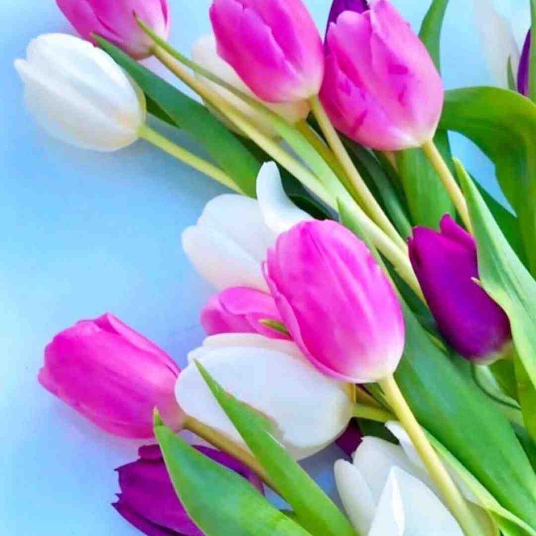 عزیزم آرام باش تو اصلا عادی نیستی