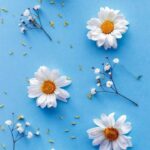 دانلود آهنگ الله چه کردی دست مریزاد بنازم با صدای دشی