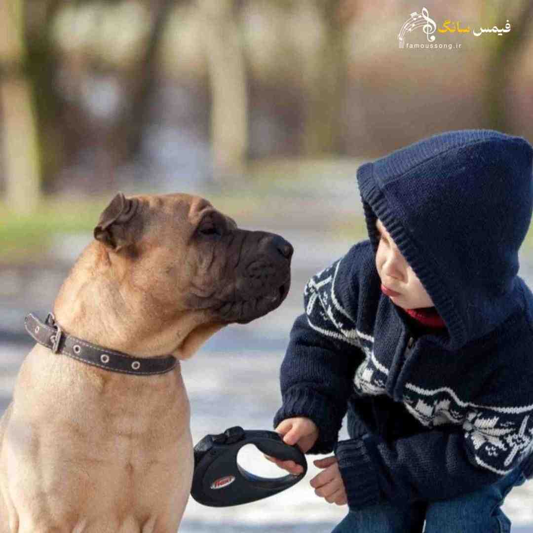 عرق سگی زدی یه ذره پنیر و کره میزنی