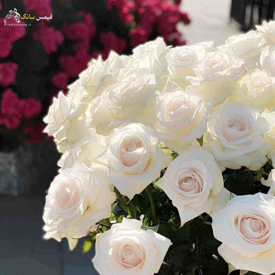  در میزنن صدا تق تق میاد همسایه زنگ زده