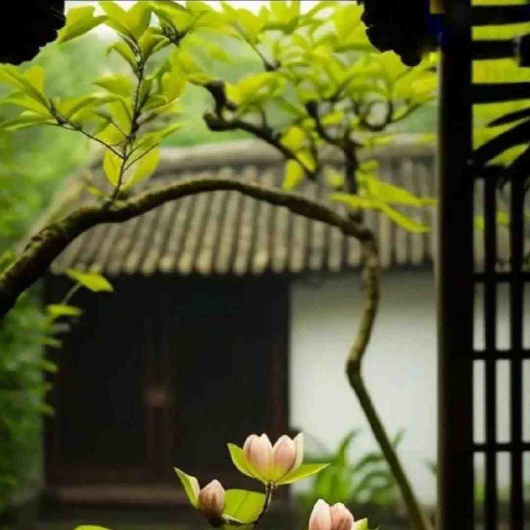 یادتم تو همه مستیا و چتیام مگه میشه
