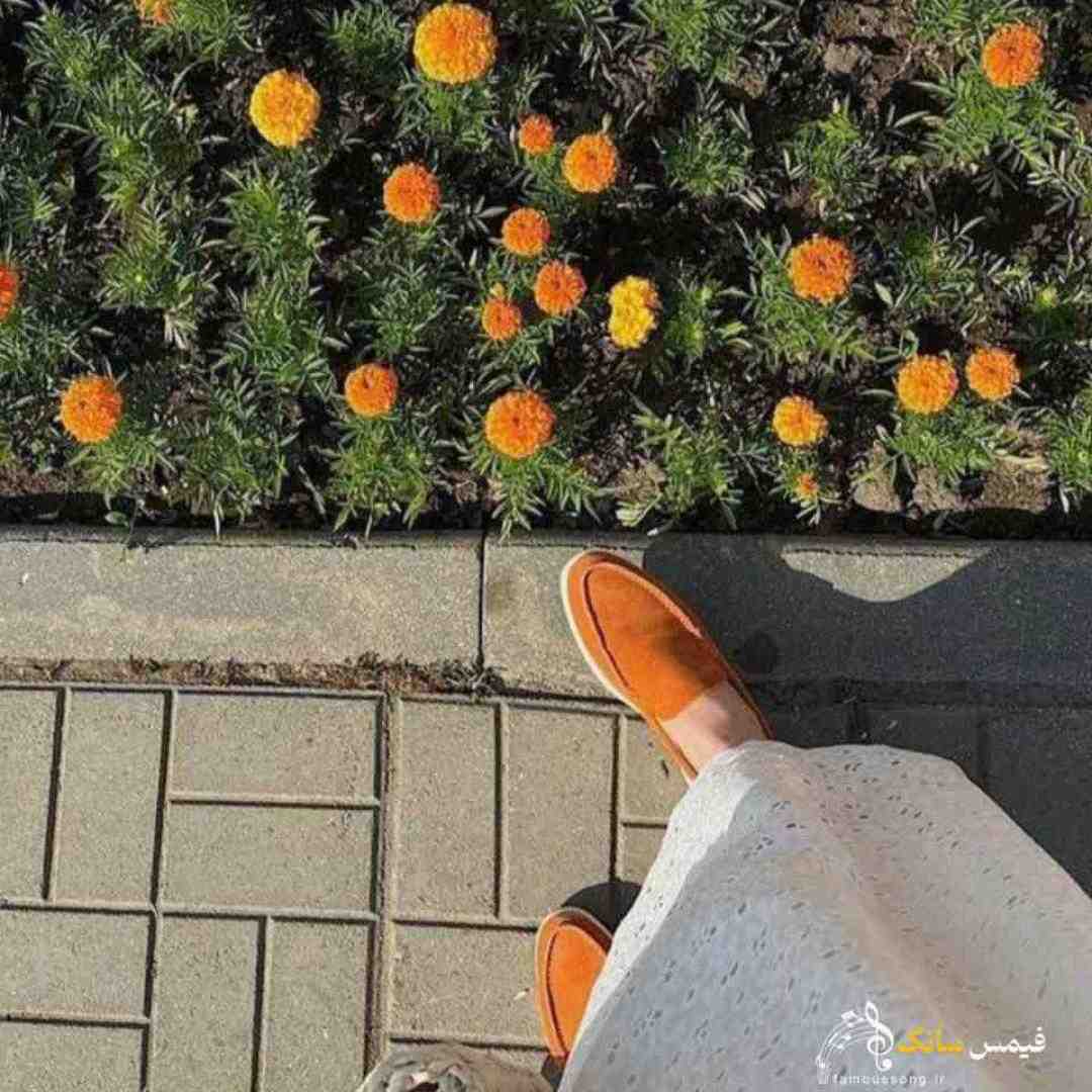 زمستون خدا سرده دمش گرم