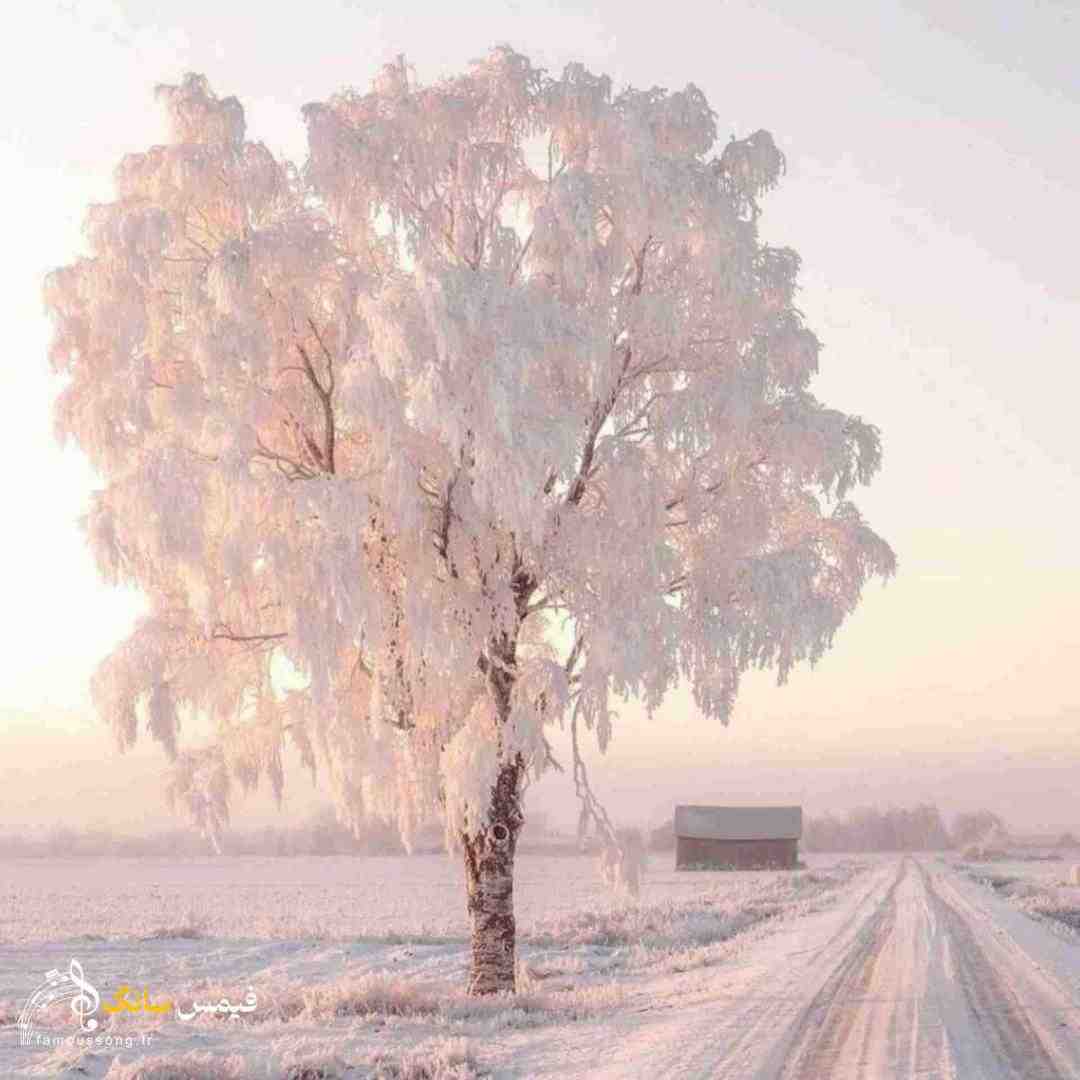 چرخ هی چرخید و گشت کودکیمون که گذشت