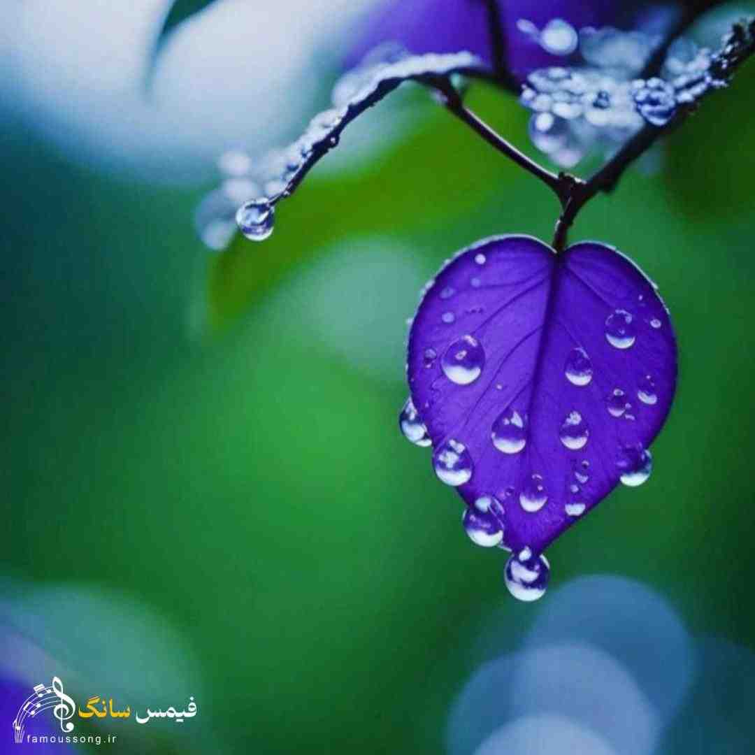  یک خنده کن ای گل لب خندان تو صدقه