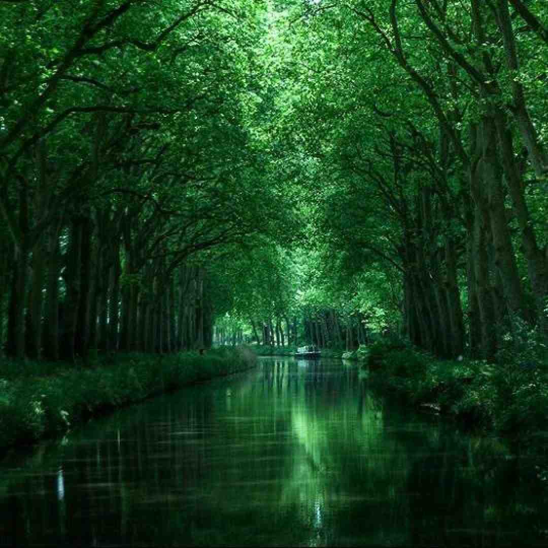 من بالام مثل همه