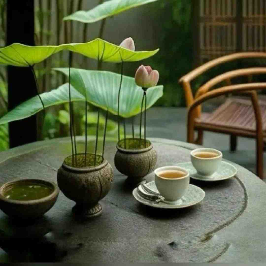  کی مثل تو منو بلده هرکی ادعا کرد