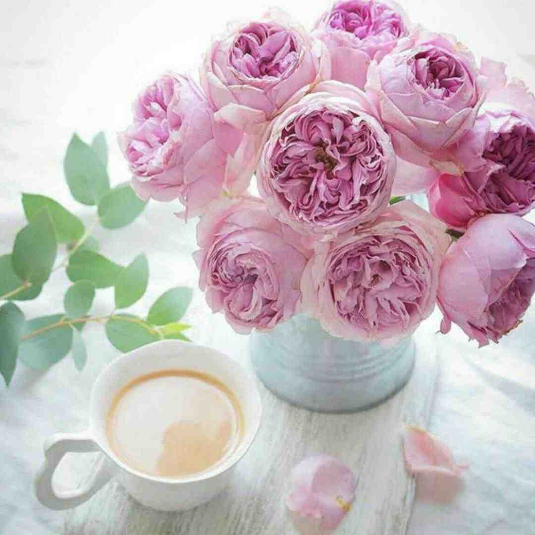  دیگه منو از دست دادی تو چشام بودی ولی افتادی