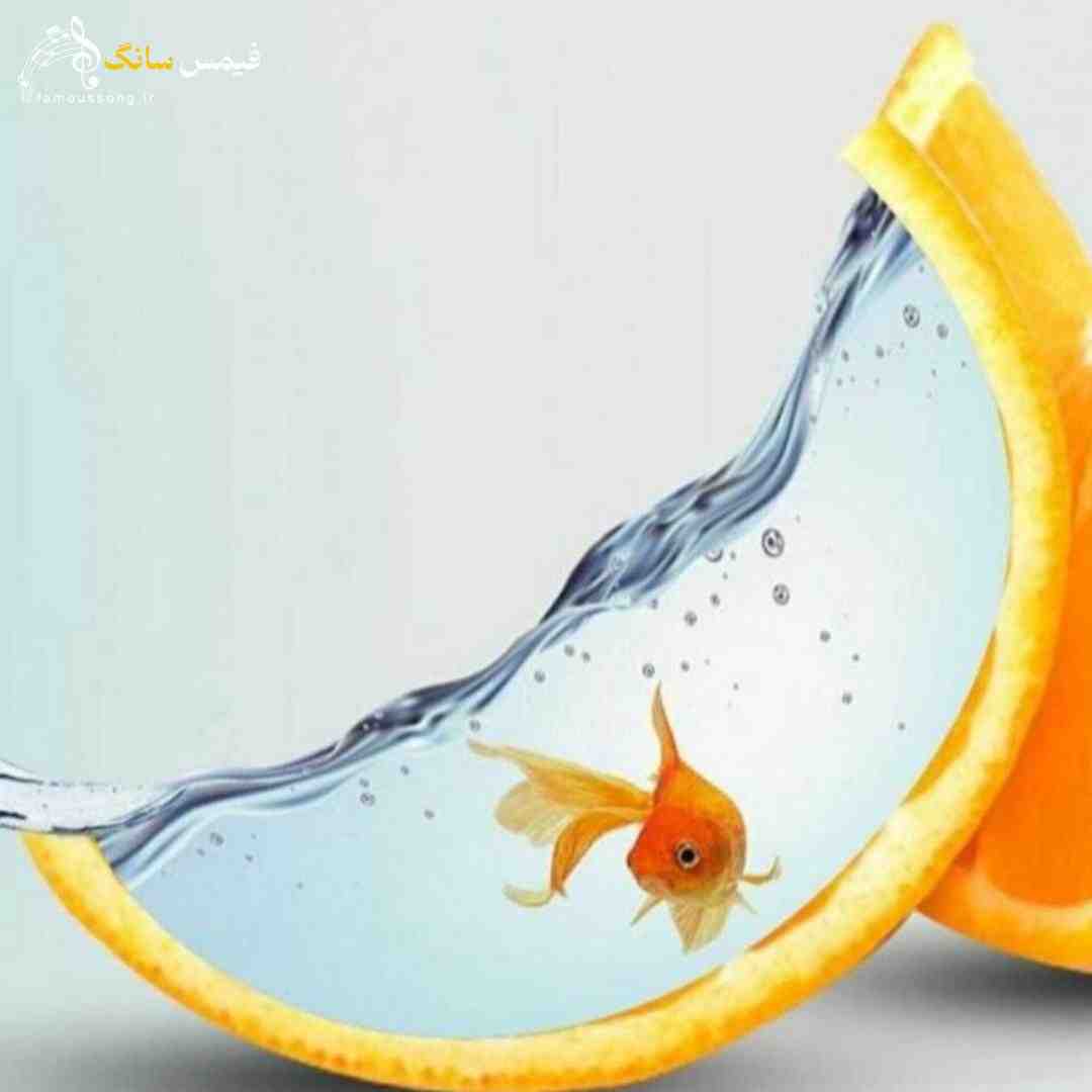 برگرد بیا پیش خودم این تن بمیره