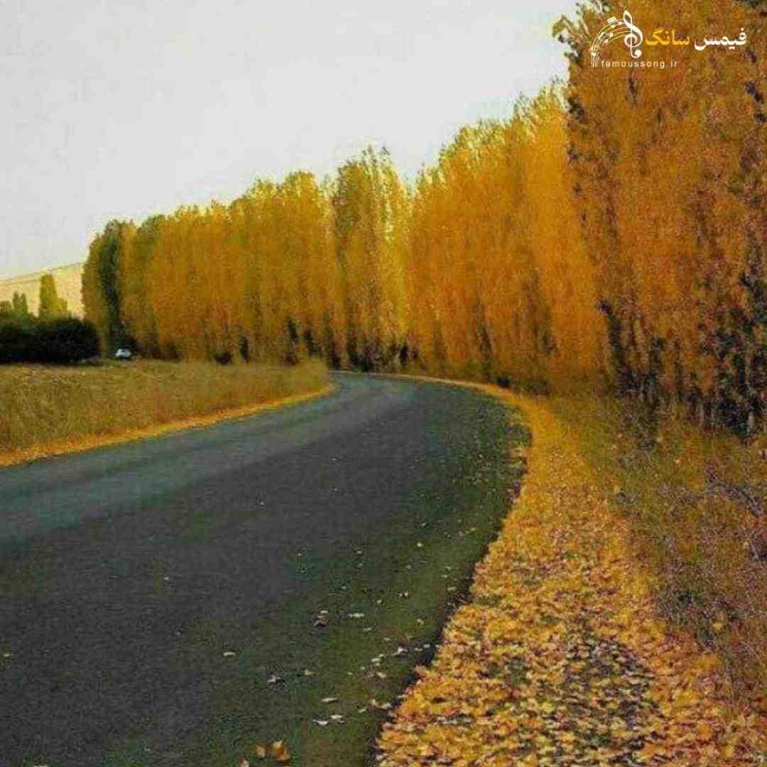  میوه هارو بشور تو بذار تو سینی برای شب چله