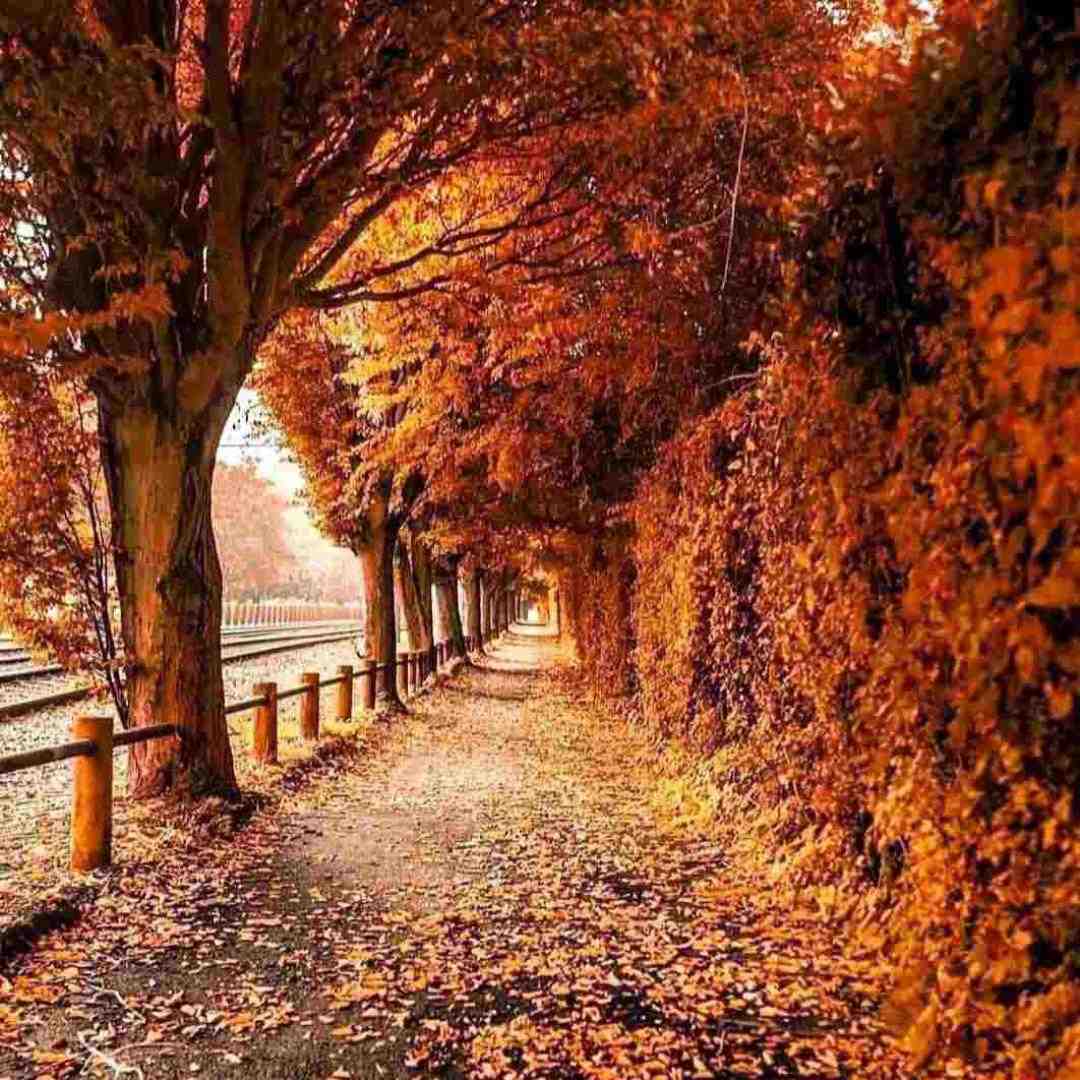  مثلا بیای بغلم بگی که عشقت منم