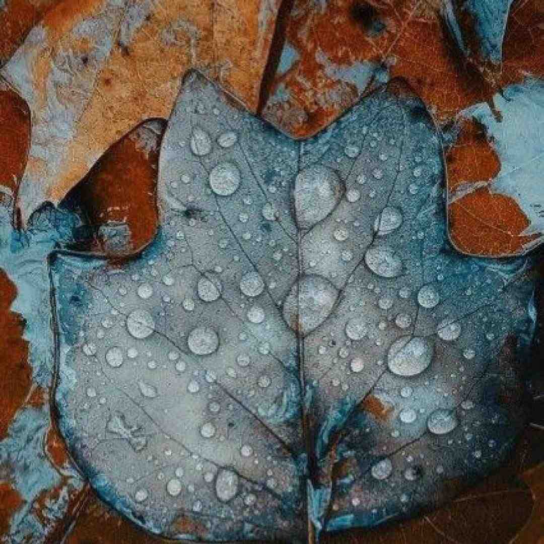 دنیا نخواد لیلی بخواد قصه قشنگه
