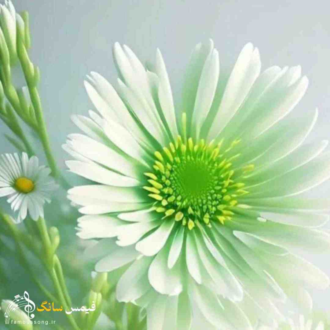 دنیام بی تو فقط صدا تصویره
