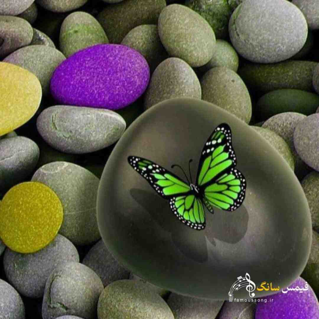 خیابون چپ چپ نگاه میکردن همه هولا