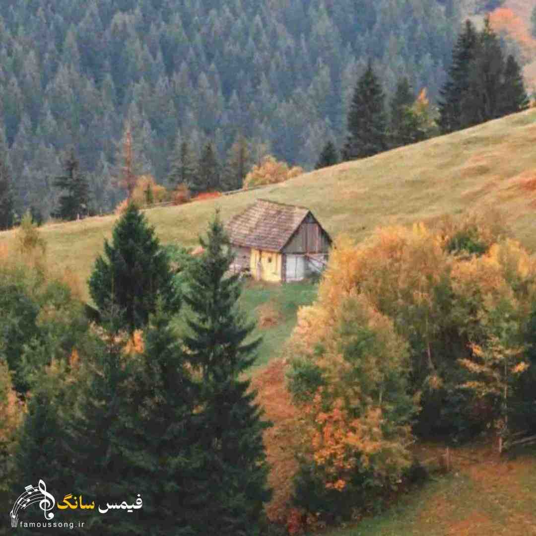 دوستام دیدنت توی دنس فلور پاره