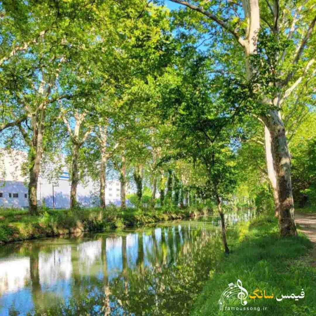 بیا چشام شده خیره به در کجایی دختر بابا