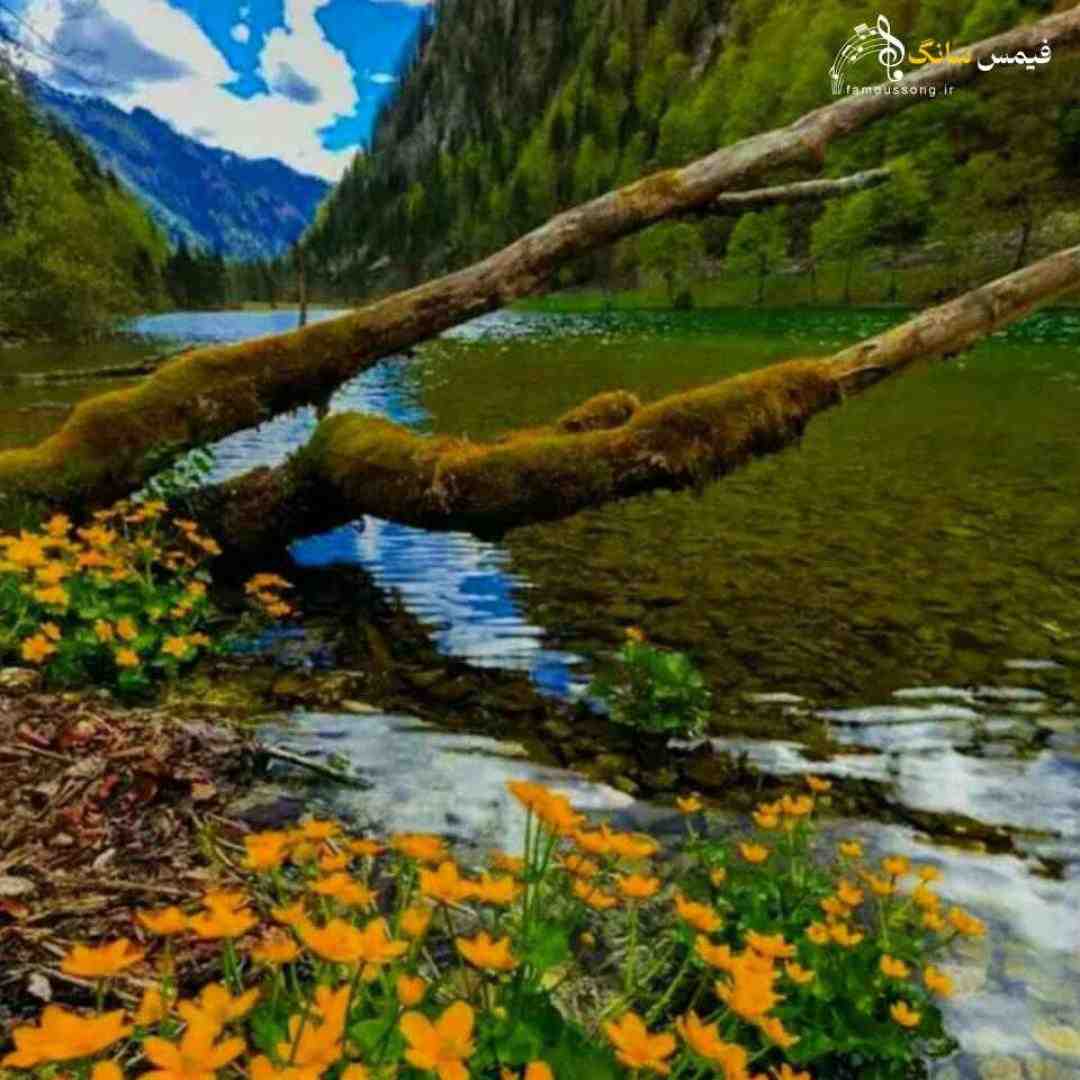  دلم تنگه حالم خراب چطور من از فکرت