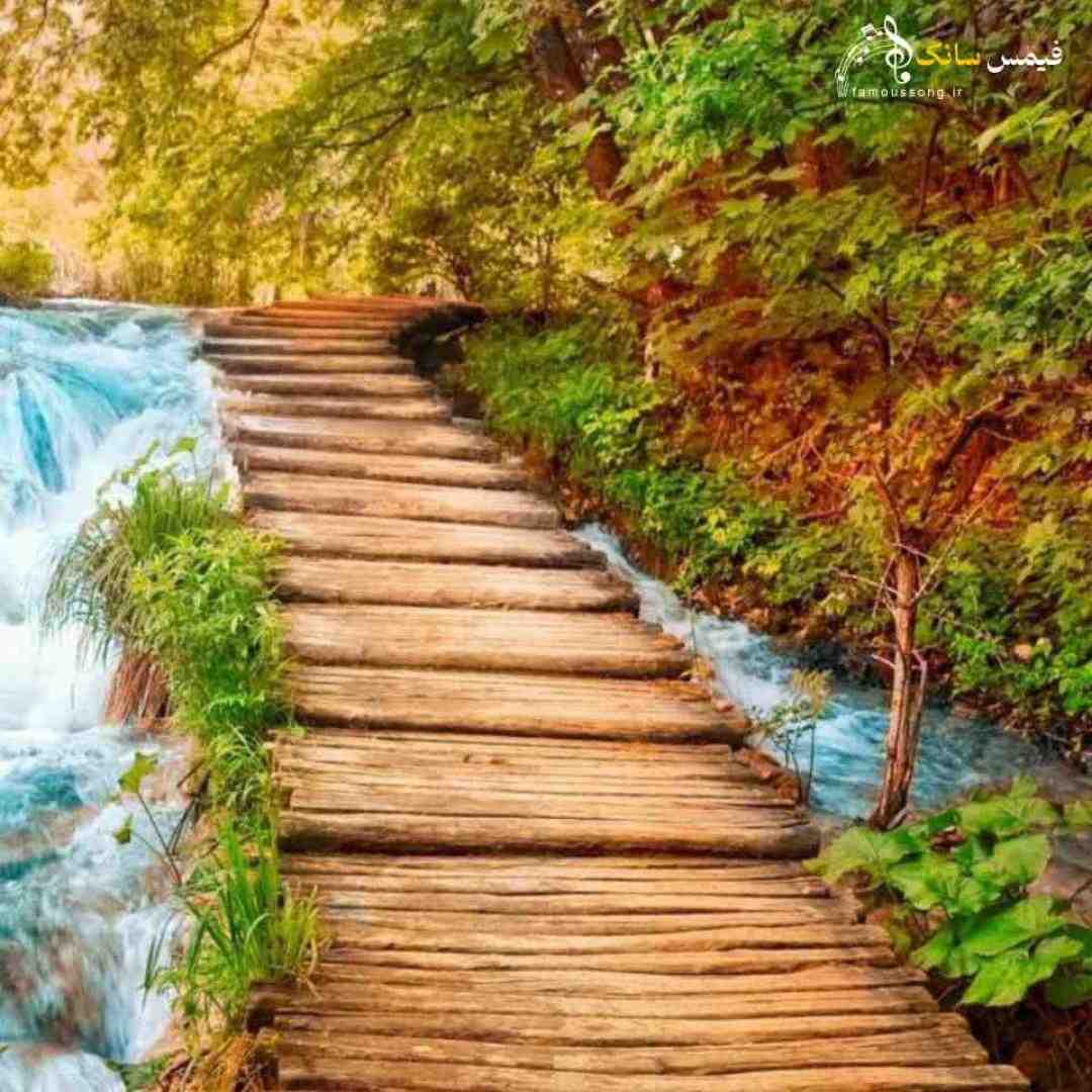  از خواب شیرین ناگه پریدم دیگر ندیدم