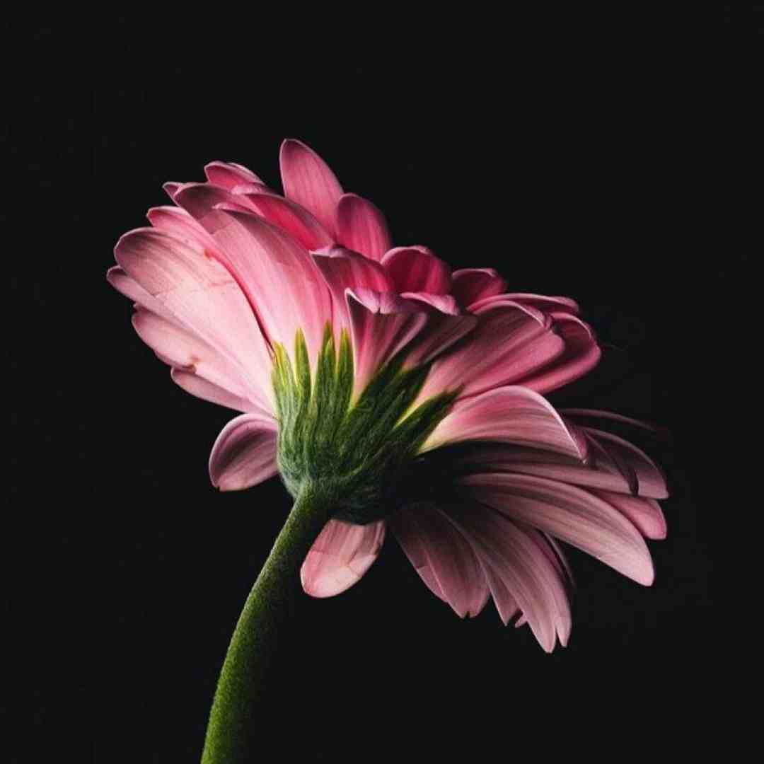  لحظه خدافظی به سینه ام فشردمت (هوش مصنوعی)