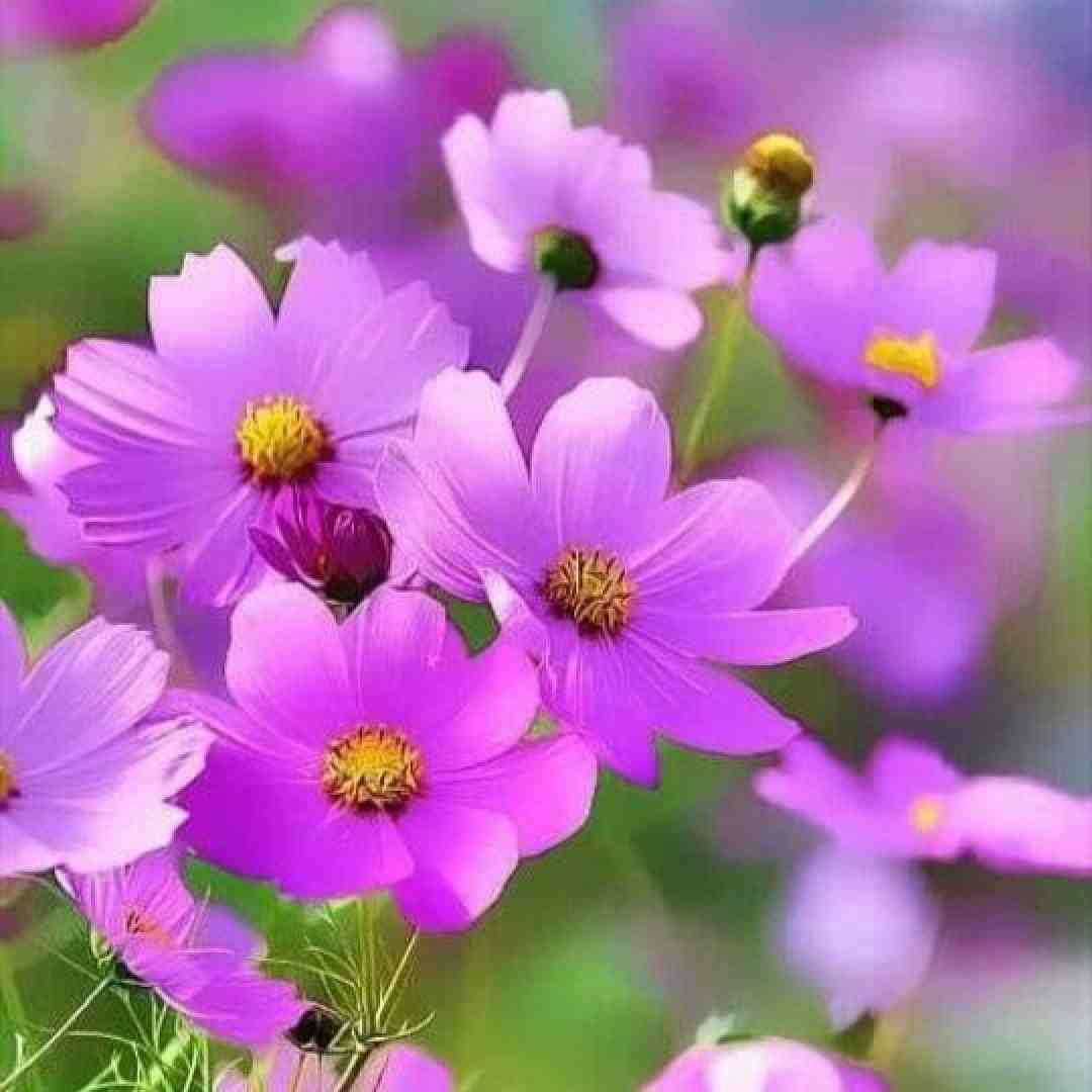  میترسم از روزای بارونی با صدای دختر